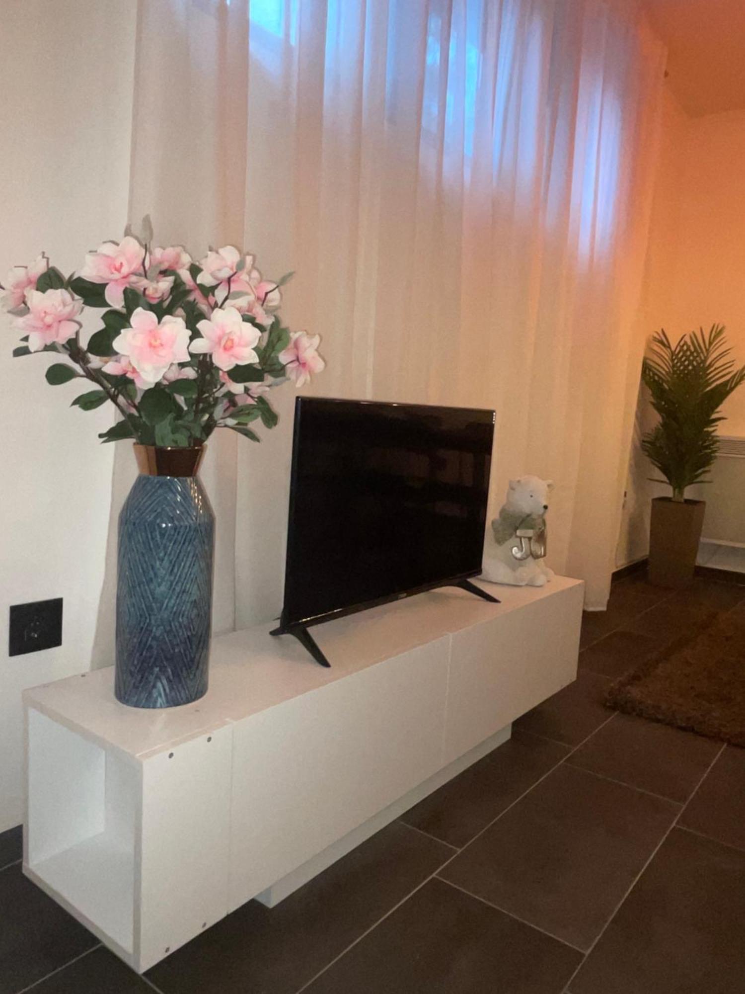 Joy Apartments Zemun,Beograd Kültér fotó